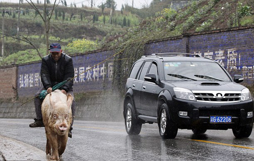 Farmer rides his pig to market after illness left him too sick to walk